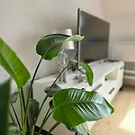 Apartment Dolina Baryczy Milicz