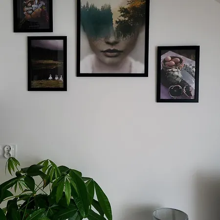 Dolina Baryczy Apartment *