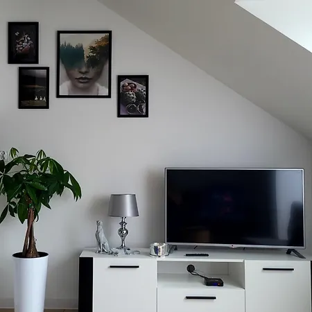 Apartment Dolina Baryczy Milicz