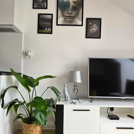 Apartment Dolina Baryczy *