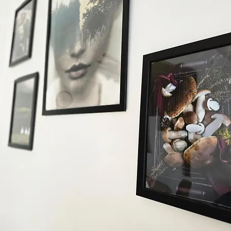 Dolina Baryczy * Milicz