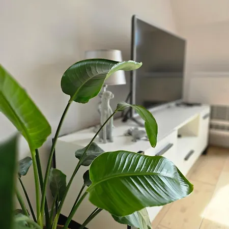 Apartment Dolina Baryczy Milicz