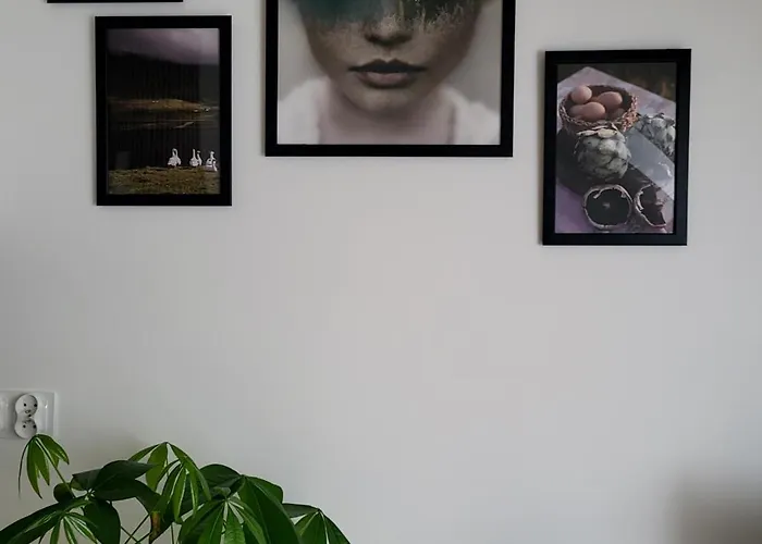 Dolina Baryczy Daire *