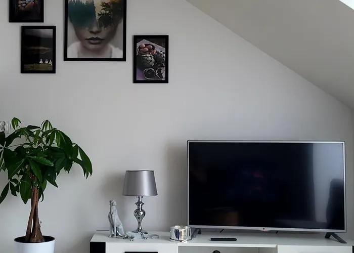 Apartment Dolina Baryczy Milicz