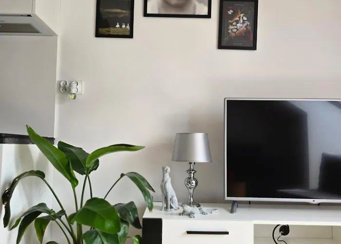 Apartment Dolina Baryczy *