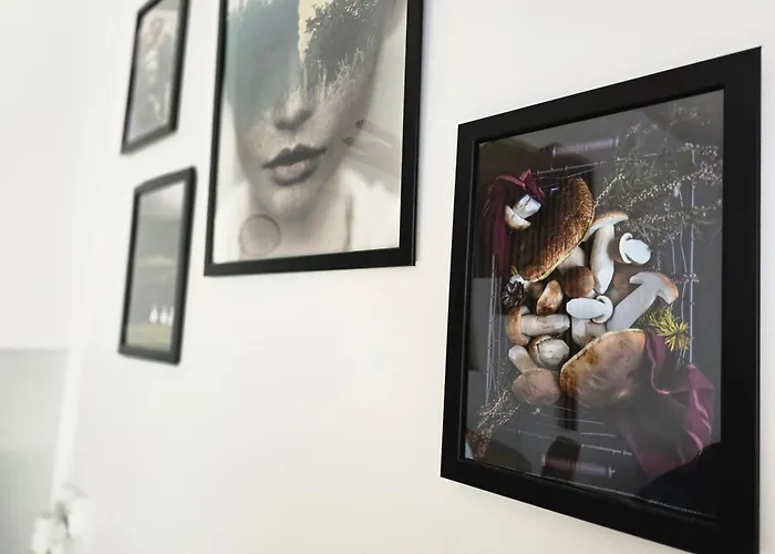 Dolina Baryczy * Milicz